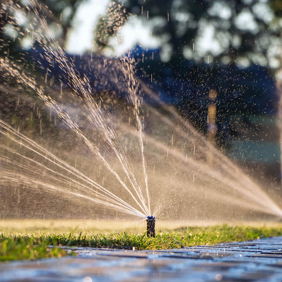 Close-up of a pop-up sprinkler head watering a lawn, with fine water droplets captured in the sunlight against a blurred natural background.